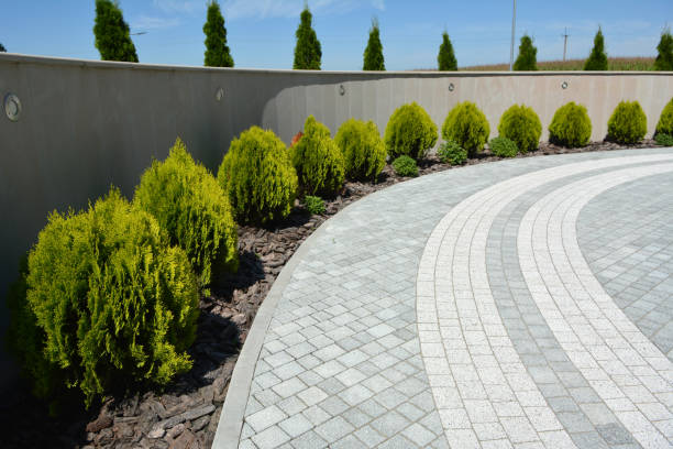 Reasons to Select Us for Your Driveway Paving Requirements in El Sobrante, CA